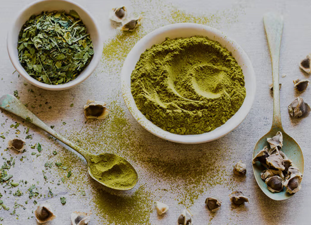 14 day SUPER REBOOT (ORGANIC HOMEGROWN MORINGA POWDER )(Vegan)Capsules