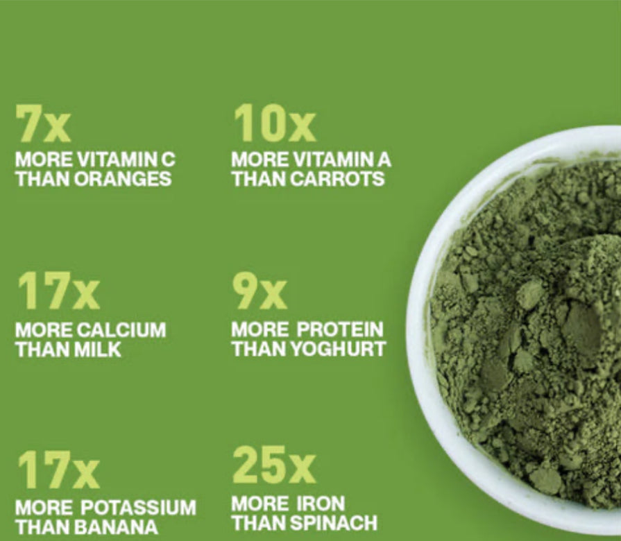 14 day SUPER REBOOT (ORGANIC HOMEGROWN MORINGA POWDER )(Vegan)Capsules